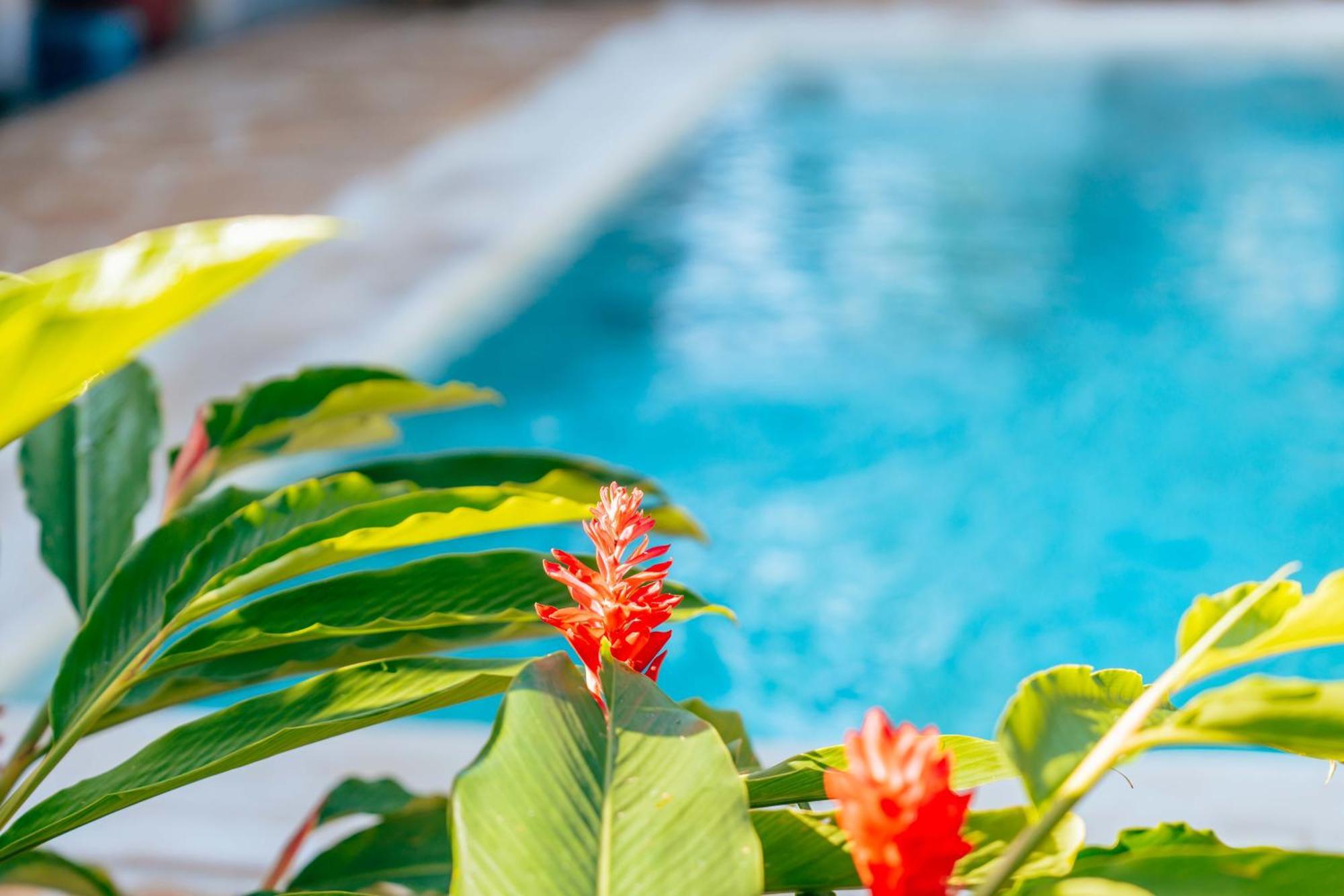 Hotel Hekaya Zanzibar Pingwe Zewnętrze zdjęcie